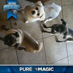 Meet your Posher, Robert